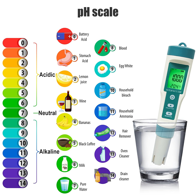 Medidor de PH Digital WESTTUNE - Ph Meter Digital Water Tester reseña y precio