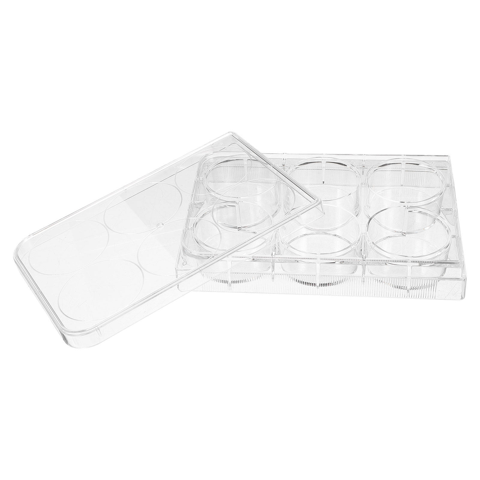 Placa de Cultivo de Tejidos, D - Lab Equipment reseña y precio